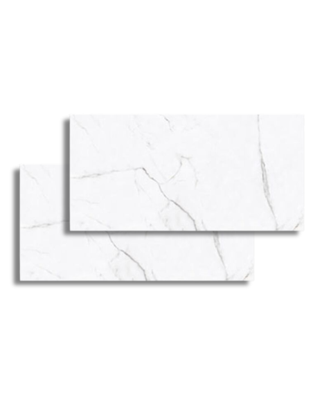 Bianco Apuano Pulido Eco 60 X 120